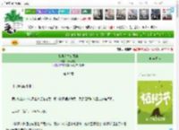 《如果人生有偶遇》sz风无影　^第80章^ 最新更新:2025-03-29 14:20:22 晋江文学城