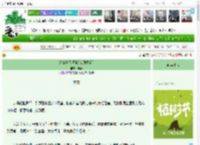 《活着跟我顶嘴[久别重逢]》筱藤　^第17章^ 最新更新:2025-03-31 10:20:41 晋江文学城
