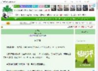 《东照棠》恬艺桐　^第9章^ 最新更新:2025-04-02 12:58:58 晋江文学城