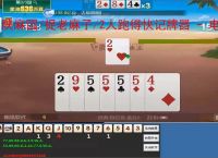 陕麻园/捉老麻子/2人跑得快记牌器 - 电脑版智能算牌丨精准记牌 炸弹分析丨陕西玩法专用辅助